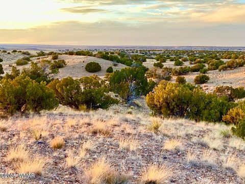 Tiny photo for TBD Co Rd N6659 36.25 Acres, Saint Johns, AZ 85936 (MLS # 259061)