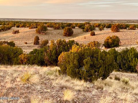 Tiny photo for TBD Co Rd N6659 36.25 Acres, Saint Johns, AZ 85936 (MLS # 259061)
