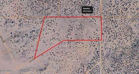 Tiny photo for TBD Co Rd N6659 36.25 Acres, Saint Johns, AZ 85936 (MLS # 259061)
