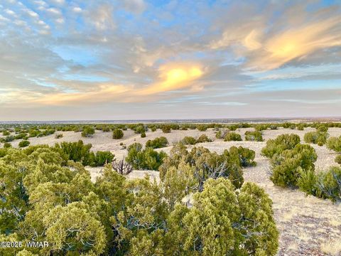 Tiny photo for TBD Co Rd N6659 36.25 Acres, Saint Johns, AZ 85936 (MLS # 259061)