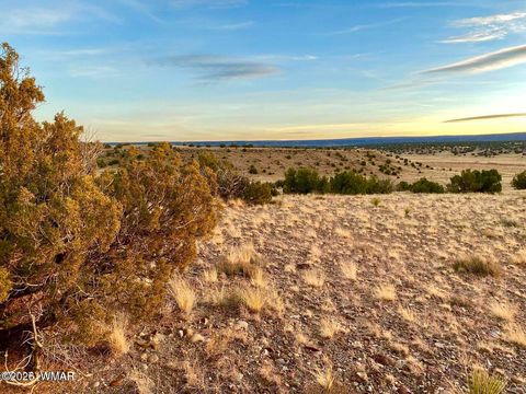 Tiny photo for TBD Co Rd N6659 36.25 Acres, Saint Johns, AZ 85936 (MLS # 259061)