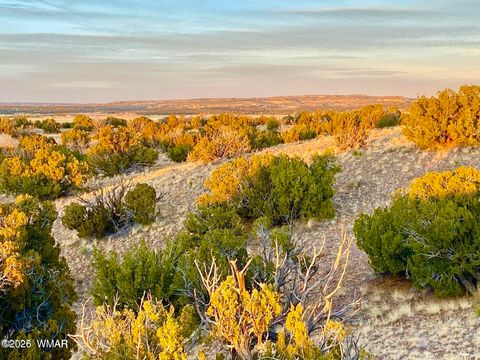 Tiny photo for TBD Co Rd N6659 36.25 Acres, Saint Johns, AZ 85936 (MLS # 259061)