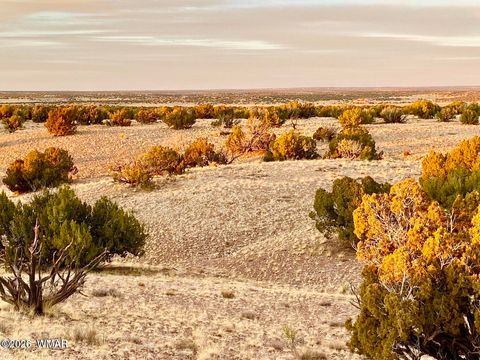 Tiny photo for TBD Co Rd N6659 36.25 Acres, Saint Johns, AZ 85936 (MLS # 259061)