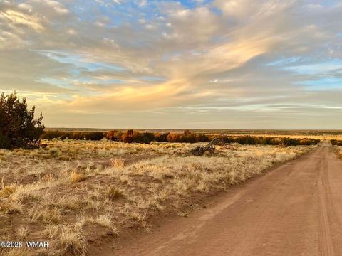 Tiny photo for TBD Co Rd N6659 36.25 Acres, Saint Johns, AZ 85936 (MLS # 259061)