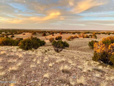 Tiny photo for TBD Co Rd N6659 36.25 Acres, Saint Johns, AZ 85936 (MLS # 259061)