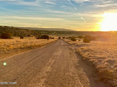 Tiny photo for TBD Co Rd N6659 36.25 Acres, Saint Johns, AZ 85936 (MLS # 259061)