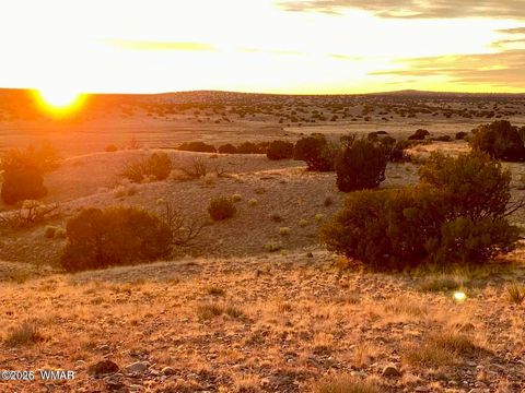 Tiny photo for TBD Co Rd N6659 36.25 Acres, Saint Johns, AZ 85936 (MLS # 259061)