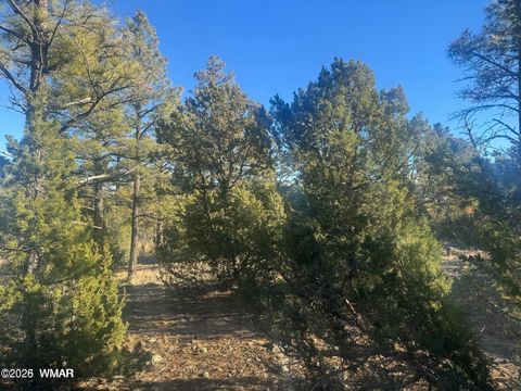 Photo of 2060 E Bluff Ridge Road, Show Low, AZ 85901 (MLS # 260211)