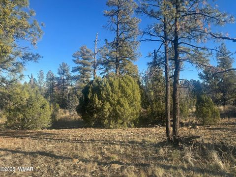 Tiny photo for 2060 E Bluff Ridge Road, Show Low, AZ 85901 (MLS # 260211)