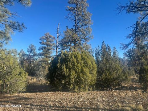 Tiny photo for 2060 E Bluff Ridge Road, Show Low, AZ 85901 (MLS # 260211)
