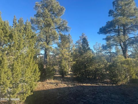 Tiny photo for 2060 E Bluff Ridge Road, Show Low, AZ 85901 (MLS # 260211)