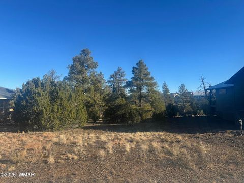 Tiny photo for 2060 E Bluff Ridge Road, Show Low, AZ 85901 (MLS # 260211)