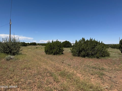 Tiny photo for 20 County Road 5203, Concho, AZ 85924 (MLS # 262942)