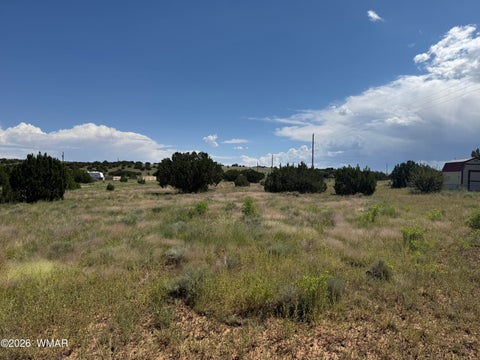 Tiny photo for 20 County Road 5203, Concho, AZ 85924 (MLS # 262942)