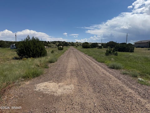 Tiny photo for 20 County Road 5203, Concho, AZ 85924 (MLS # 262942)