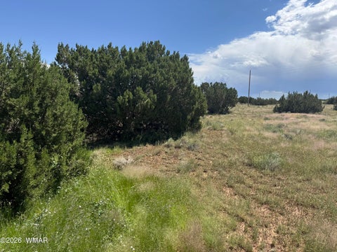 Tiny photo for 20 County Road 5203, Concho, AZ 85924 (MLS # 262942)