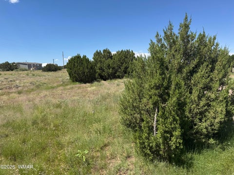 Tiny photo for 20 County Road 5203, Concho, AZ 85924 (MLS # 262942)