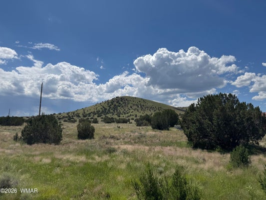 20 COUNTY RD 5203, CONCHO, AZ 85924 - Image 2caa364db8ecc47f662d7eeaa25ffb79/803562781