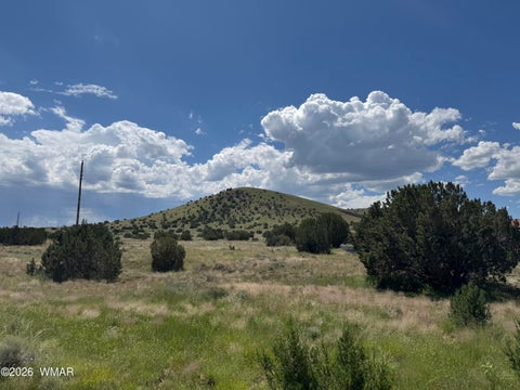 Photo of 20 County Road 5203, Concho, AZ 85924 (MLS # 262942)