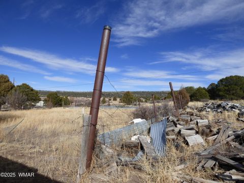 Tiny photo for 22 County Road 2315, Nutrioso, AZ 85932 (MLS # 253437)