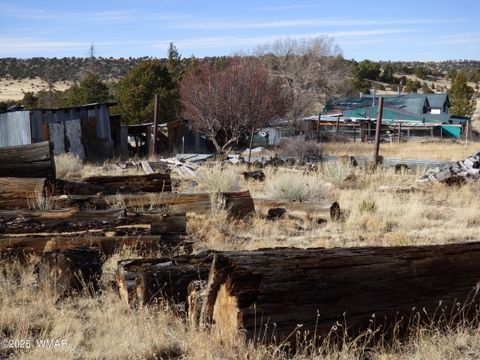 Tiny photo for 22 County Road 2315, Nutrioso, AZ 85932 (MLS # 253437)