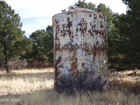 Tiny photo for 22 County Road 2315, Nutrioso, AZ 85932 (MLS # 253437)