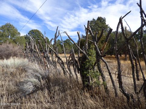 Tiny photo for 22 County Road 2315, Nutrioso, AZ 85932 (MLS # 253437)