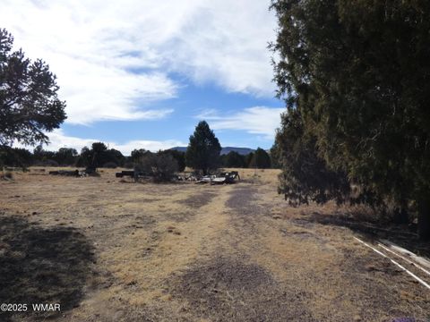 Tiny photo for 22 County Road 2315, Nutrioso, AZ 85932 (MLS # 253437)