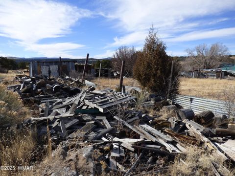 Tiny photo for 22 County Road 2315, Nutrioso, AZ 85932 (MLS # 253437)