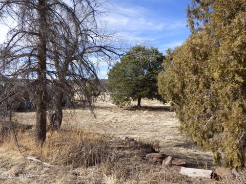 Tiny photo for 22 County Road 2315, Nutrioso, AZ 85932 (MLS # 253437)
