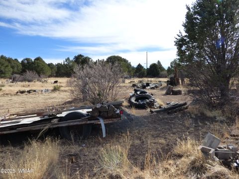 Tiny photo for 22 County Road 2315, Nutrioso, AZ 85932 (MLS # 253437)