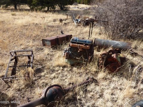 Tiny photo for 22 County Road 2315, Nutrioso, AZ 85932 (MLS # 253437)