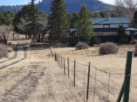 Photo of 22 County Road 2315, Nutrioso, AZ 85932 (MLS # 253437)