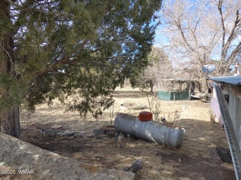 Tiny photo for 22 County Road 2315, Nutrioso, AZ 85932 (MLS # 253437)