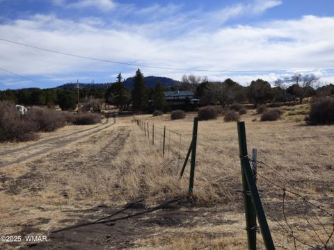 Tiny photo for 22 County Road 2315, Nutrioso, AZ 85932 (MLS # 253437)
