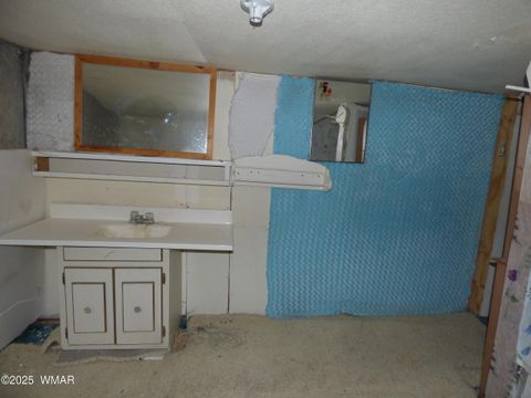 Tiny photo for 22 County Road 2315, Nutrioso, AZ 85932 (MLS # 253437)