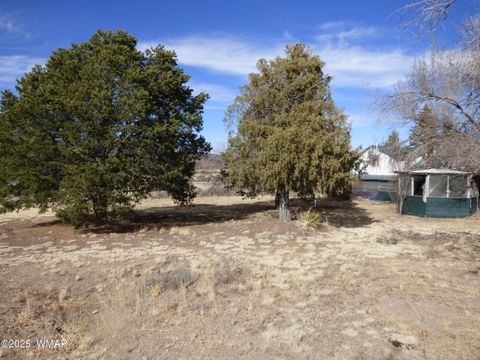 Tiny photo for 22 County Road 2315, Nutrioso, AZ 85932 (MLS # 253437)
