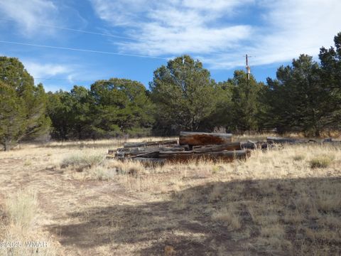 Tiny photo for 22 County Road 2315, Nutrioso, AZ 85932 (MLS # 253437)