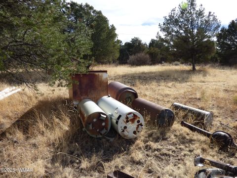 Tiny photo for 22 County Road 2315, Nutrioso, AZ 85932 (MLS # 253437)