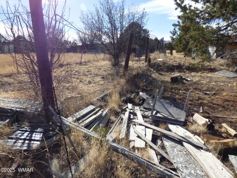 Tiny photo for 22 County Road 2315, Nutrioso, AZ 85932 (MLS # 253437)
