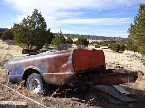 Tiny photo for 22 County Road 2315, Nutrioso, AZ 85932 (MLS # 253437)