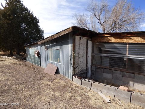 Tiny photo for 22 County Road 2315, Nutrioso, AZ 85932 (MLS # 253437)