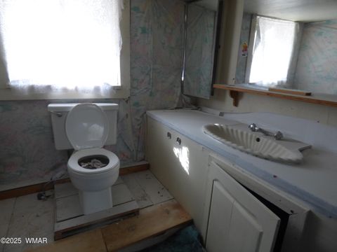 Tiny photo for 22 County Road 2315, Nutrioso, AZ 85932 (MLS # 253437)