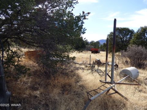 Tiny photo for 22 County Road 2315, Nutrioso, AZ 85932 (MLS # 253437)