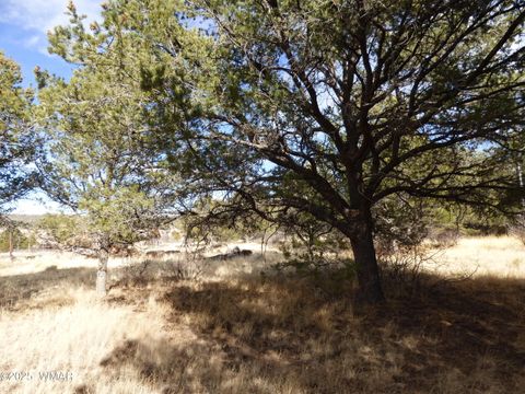 Tiny photo for 22 County Road 2315, Nutrioso, AZ 85932 (MLS # 253437)