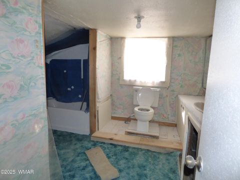 Tiny photo for 22 County Road 2315, Nutrioso, AZ 85932 (MLS # 253437)