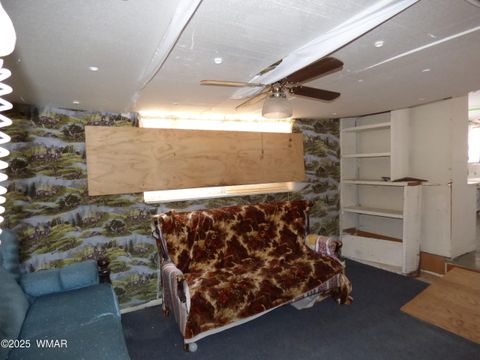 Tiny photo for 22 County Road 2315, Nutrioso, AZ 85932 (MLS # 253437)