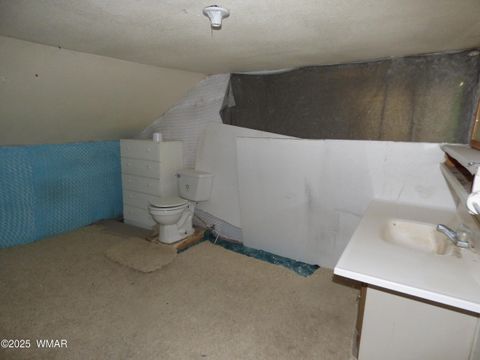 Tiny photo for 22 County Road 2315, Nutrioso, AZ 85932 (MLS # 253437)