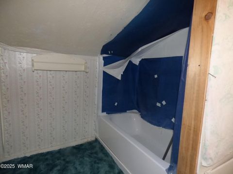 Tiny photo for 22 County Road 2315, Nutrioso, AZ 85932 (MLS # 253437)
