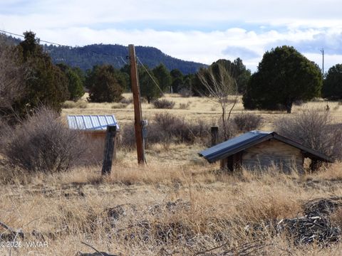 Tiny photo for 22 County Road 2315, Nutrioso, AZ 85932 (MLS # 253437)